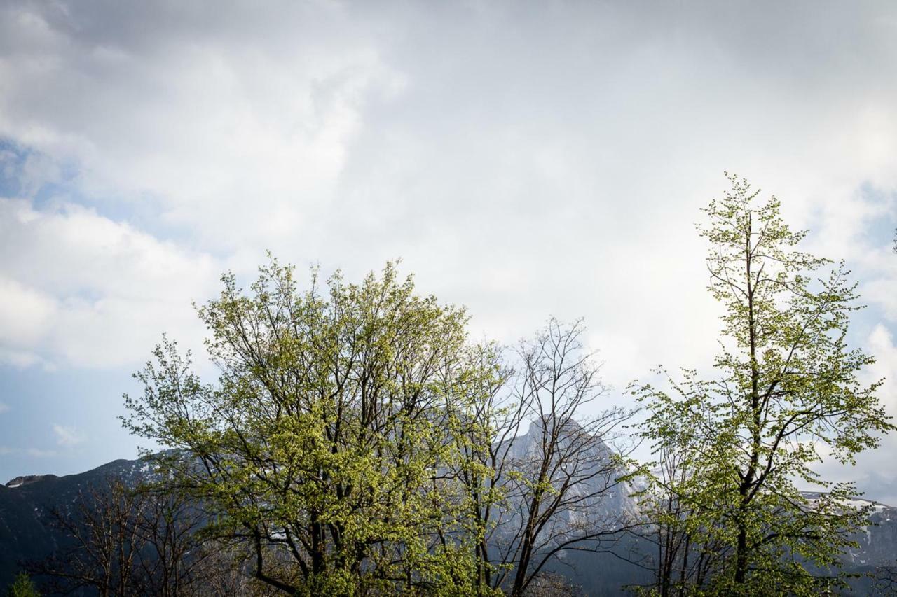 Gorski Klimat Zakopane Eksteriør bilde